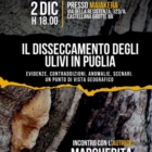 "Il disseccamento degli olivi in Puglia.
