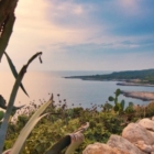LA TECNOLOGIA PER TUTELARE LA BIODIVERSITÀ