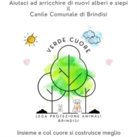VERDE CUORE II EDIZIONE