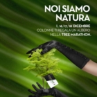 LE COLONNE : TREE MARATHON