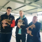 I giocatori della Happy Casa Brindisi promuovono l’adozione degli animali del canile di Brindisi
