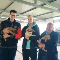 I giocatori della Happy Casa Brindisi promuovono l�adozione degli animali del canile di Brindisi
