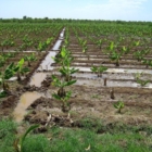 WEDAP: DALLA PUGLIA UN PROGETTO INNOVATIVO PER FORNIRE ACQUA AI VILLAGGI ISOLATI DELLE ZONE ARIDE