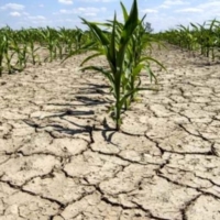 AIUTI ALLE IMPRESE AGRICOLE
