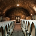CONFCOOPERATIVE :BANDO GOOGLE CANTINE