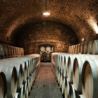 CONFCOOPERATIVE : BANDO GOOGLE CANTINE