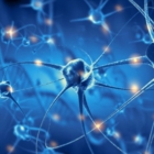 BRINDISI CUORE : PROSSIMO INCONTRO SU CURA ALZHEIMER