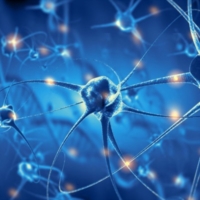 BRINDISI CUORE : PROSSIMO INCONTRO SU CURA ALZHEIMER