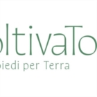 TORINO : ColtivaTo Con i piedi per Terra
