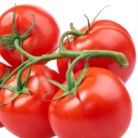 POMODORO DA INDUSTRIA : CONTRATTAZIONE NEL BACINO CENTRO SUD