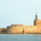 Conferenza stampa "Amare Forte A Mare"