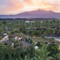 RADICEPURA GARDEN FESTIVAL  IL GIARDINO DELLE PIANTE  6 maggio - 3 dicembre 2023