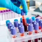 PUGLIA : RETE LABORATORI : INIZIATIVE