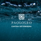 Paololeo presenta il progetto "Cantina sottomarina"