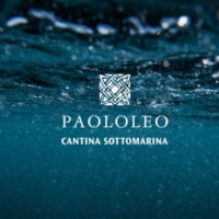 Paololeo presenta il progetto 