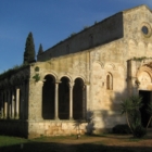 Pasquetta a Cerrate - 10 aprile 2023