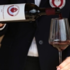 TARANTO : Vinitaly 2023 : cantine associate a Confcooperative"