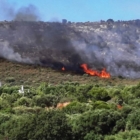 Prevenzione e contrasto del rischio incendi boschivi