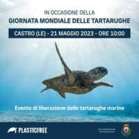 PUGLIA: DOMENICA A CASTRO PLASTIC FREE CELEBRA LA GIORNATA DELLE TARTARUGHE