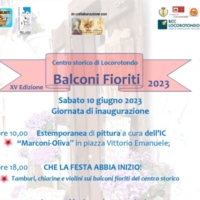 Balconi Fioriti nel centro storico di Locorotondo Facciamo XV!