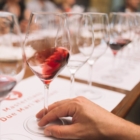 TARANTO : DUE MARI WINE FEST