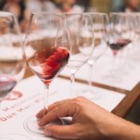 TARANTO : DUE MARI WINE FEST