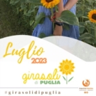 Girasoli e Lavanda di Puglia