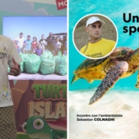 MOLFETTA :  Turtle Island