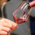 Ecco gli appuntamenti estivi per il Consorzio di Tutela del Primitivo di Manduria
