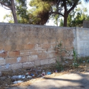 BRINDISI in "CARTOLINA...